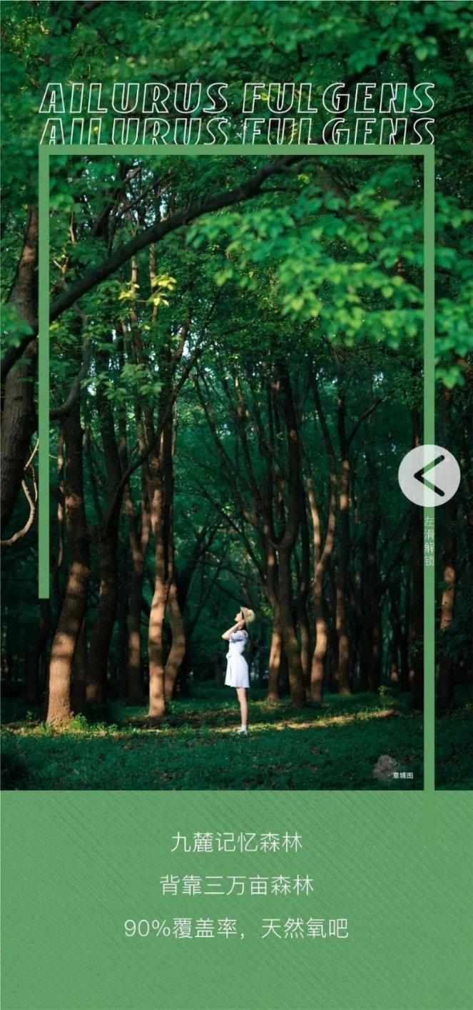 新版微信怎么看别人的朋友圈-学问答网站-有问必答