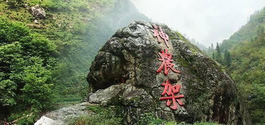 123澳门正版资料老玩家